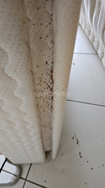 Matelas blanc entrouvert, face interne couverte de points noirs et bruns, débris sombres sur le carrelage